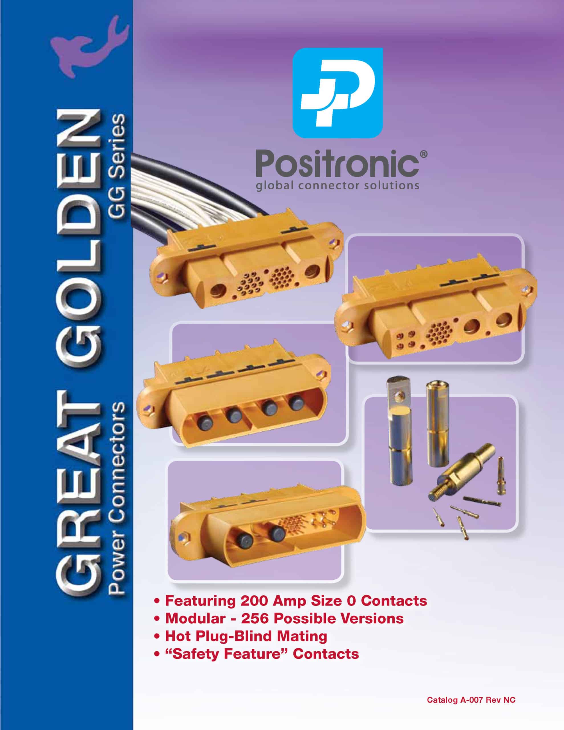 Product Literature Positronic The Science of Certainty